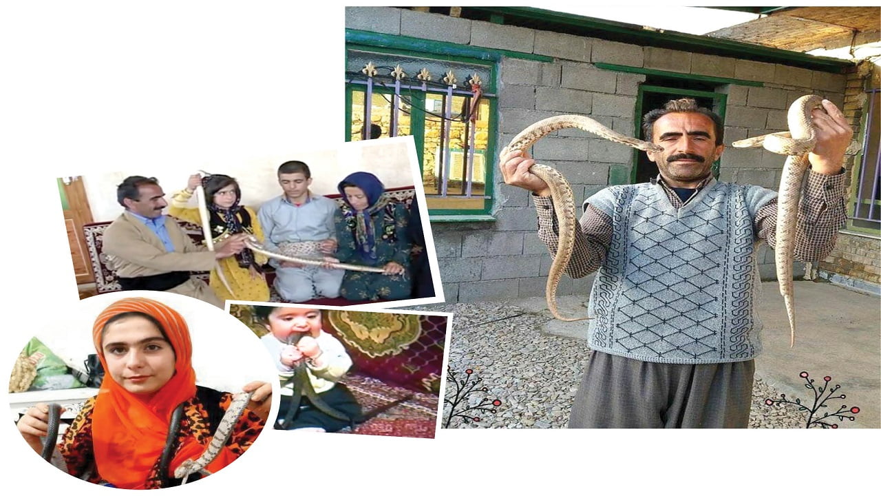 عکس | زندگی احمقانه یک شهروند کرمانشاه با یک انسان مسموم / دجال: مار کمک کننده من شد!
