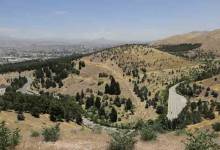 کاشت نهال به یاد شهدای آتش‌نشان در سرخه‌حصار 