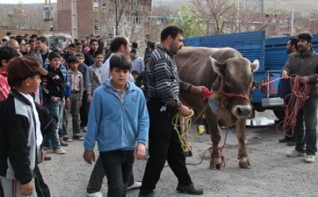 جشن سی‌وششمین روز بهار - ایسنا