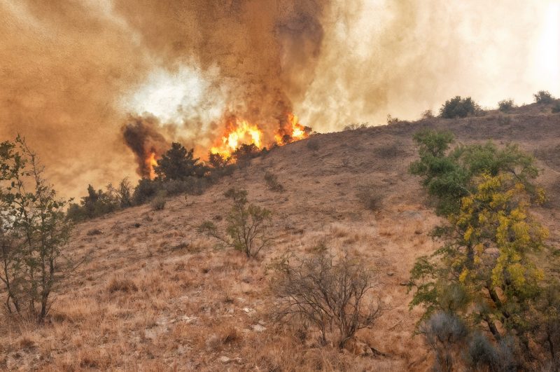ارسباران درگیر آتش؛ حریق گسترده هنوز مهار نشده است